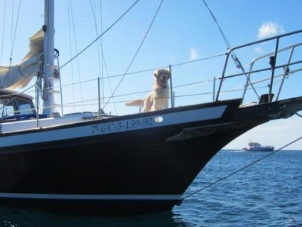 Charter jachtu - Vientos del Sur Yaiza