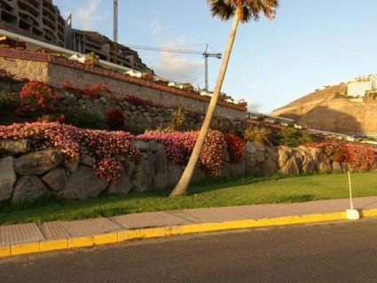 Altamadores Puerto Rico - wakacje Gran Canaria